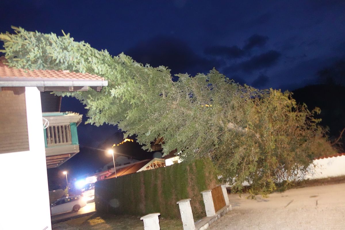 Baum liegt am Hausdach