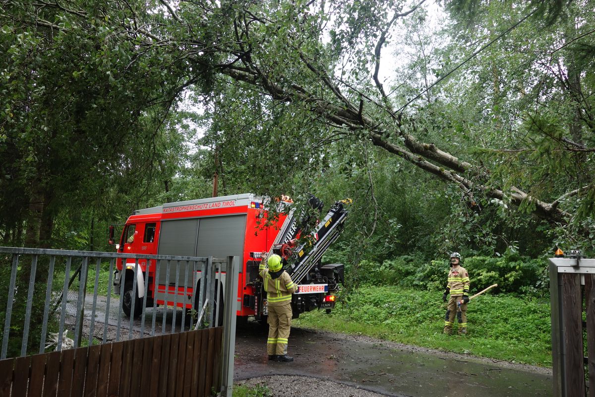 SRF neben dem umgefallenen Baum