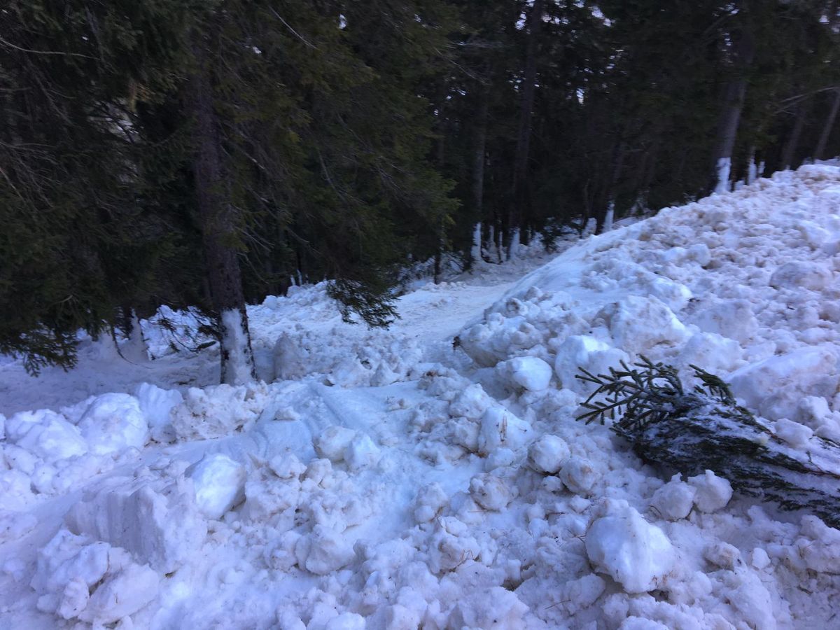 Lawinenabgang im Bereich Ammerwald - "Schützensteig"