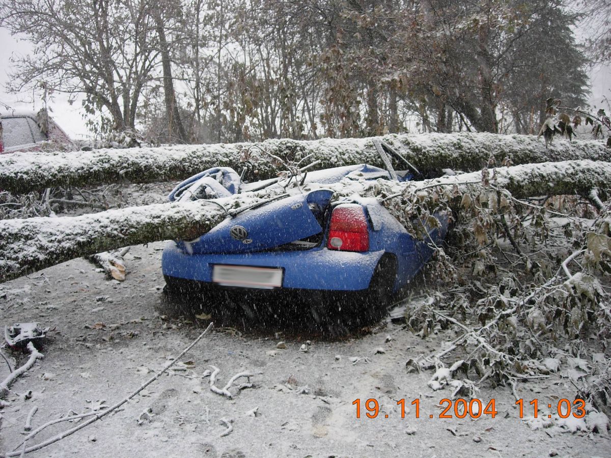 Bäume liegen auf einem deformiertem PKW