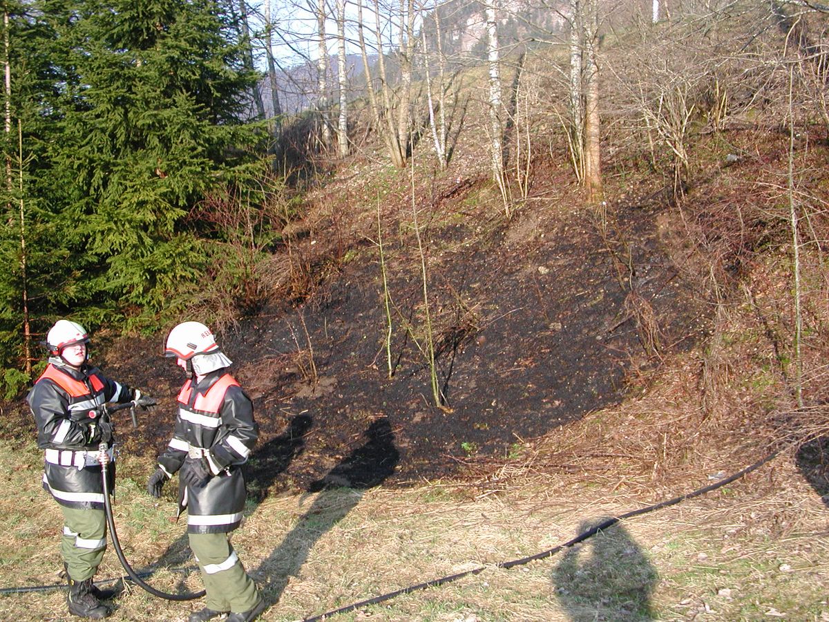 Feuerwehrleute löschen den Böschungsbrand