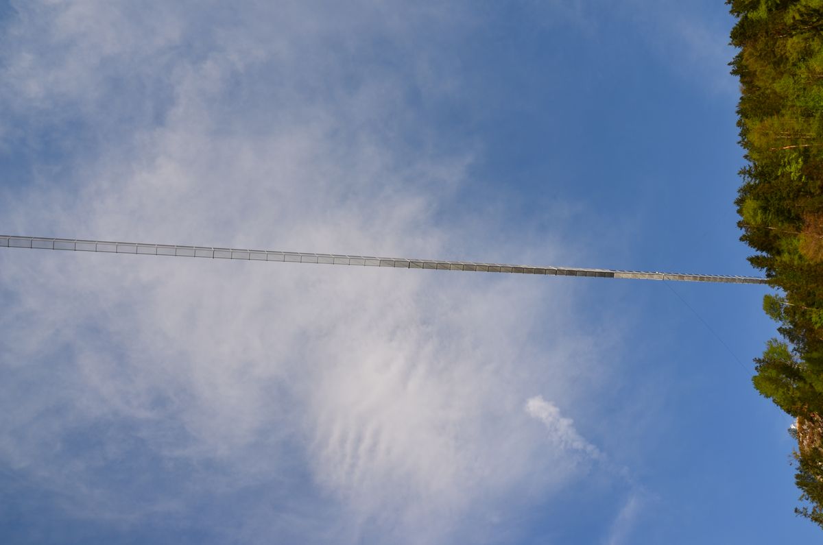 Jugendfeuerwehr mit dem Bürgermeister auf der "highline179"